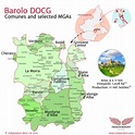 Barolo Wine: best vintages, how it's made, how much to pay | Wine Guide