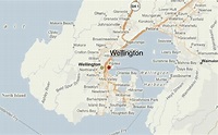 Guía Urbano de Wellington