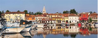 Novigrad, Istria County - Wikipedia Municipality, Zoology, World ...