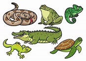 set of reptile cartoon illustration in set 21776246 Vector Art at Vecteezy
