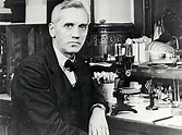 Alexander Fleming Timeline | Timetoast timelines