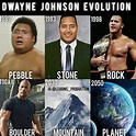 The rock meme : Do You Smell What These Dwayne ? - diply
