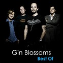 Gin Blossoms Best Of - playlist by Gin Blossoms | Spotify