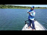 Pescaria em panorama-sp Piloteiro Rodolfo Pichulim - YouTube