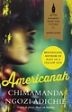 Americanah by Chimamanda Ngozi Adichie – Stuck in a Book