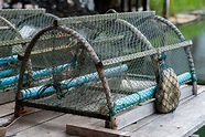 How to Build a Crab Trap | eBay