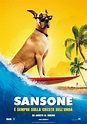 Sansone - Film (2010)