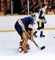 Mike Liut Hockey Goalie, St Louis Blues, National Hockey League, Sports ...