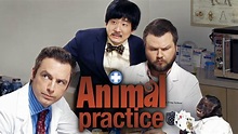 Animal Practice - NBC Series - Where To Watch
