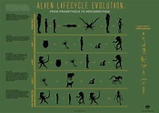 Evolution of the Alien Infographic: From Prometheus To Alien ...