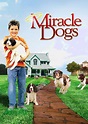 Miracle Dogs - Netflix Australia