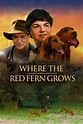 Where the Red Fern Grows (2003) — The Movie Database (TMDB)