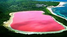 El misterioso Lago Rosa de la isla Middle (Australia) - Requisitos para ...