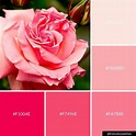 Pink Rose | Flower | Springtime |Color Palette Inspiration. | Digital ...