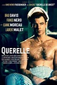 Querelle Pictures - Rotten Tomatoes
