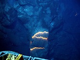 This is an underwater volcano. It is a mazing that the magma is so hot ...