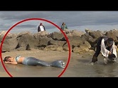 10 Real Life Mermaids Caught on Camera | 10 Videos Mysterious Creatures ...