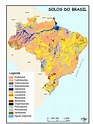 Mapa de solos do Brasil mostrando a distribuição das 13 ordens de solos ...