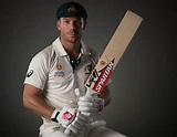 David Warner, Australian cricket | The truth about batsman post ...