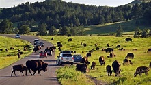 Viaje por carretera en Dakota del Sur occidental por las Black Hills y ...