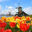 14 Reasons to visit the Netherlands in Spring! - Netherlands Tourism