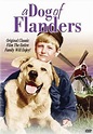 A Dog of Flanders - Prieteni pana la moarte (1959) - Film - CineMagia.ro