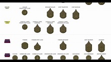 Army ranks enlisted - nesilopeX