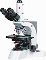 Come è strutturato il microscopio ottico – Le regole per l’uso – Bald ...