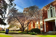 Willamette University - Scores, Costs, and Admissions