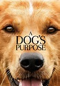 A Dog's Purpose (2017) | Kaleidescape Movie Store