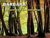 Barbara - Au petit bois de Saint-Amand. #conceptkaraoke - YouTube