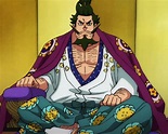 Shogun | One Piece Wiki | Fandom