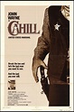 Cahill U.S. Marshal 1973 | John wayne, John wayne movies, United states ...