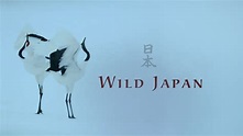Wild Japan | Yesterday Channel