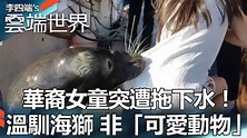 華裔女童突遭拖下水！ 溫馴海獅 非「可愛動物」-李四端的雲端世界 - YouTube