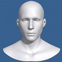Man Head 3d Model 3D Model $39 - .fbx .max .obj - Free3D