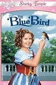The Blue Bird (1940) - Película Completa en Español Latino