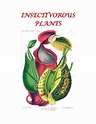 Insectivorous Plants | Teaching Resources