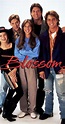 Blossom (TV Series 1990–1995) - Full Cast & Crew - IMDb