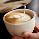 喝咖啡可以防失智？研究公開咖啡可萃取防失智關鍵物質，但「這款」咖啡不建議喝！ | Bella.tw儂儂