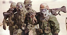 Researchers cite new findings on Gulf War Illness