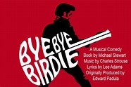 Ver Bye Bye Birdie 1995 Online Gratis - PeliculasPub