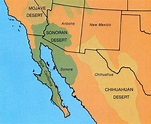Deserts - Lake Mead National Recreation Area (U.S. National Park Service)