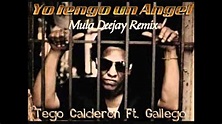 Tego Calderon Ft. Gallego - Yo tengo un Angel (Mula Deejay Remix) - YouTube