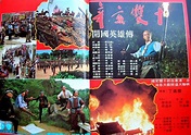 Xin hai shuang shi (1981)