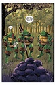 Teenage Mutant Ninja Turtles: Urban Legends Issue #4 - Read Teenage ...