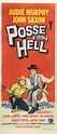 Posse From Hell : The Film Poster Gallery