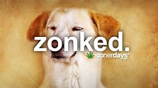 Stoner Dictionary - Zonked | StonerDays