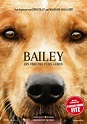 Bailey - Ein Freund fürs Leben - derStandard.at