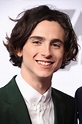 Timothee Chalamet at the 90th Annual Academy Awards Nominee Luncheon in ...